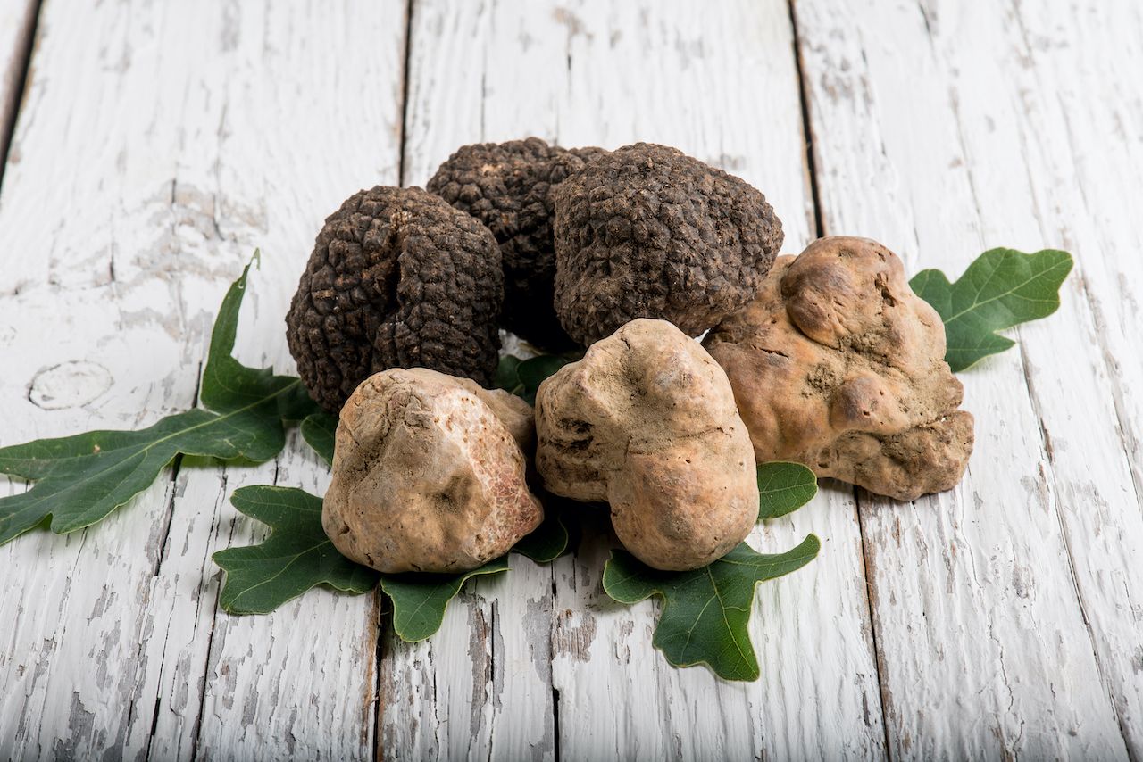 Reap The Benefits Of Fresh Truffles - Read These 10 Ideas