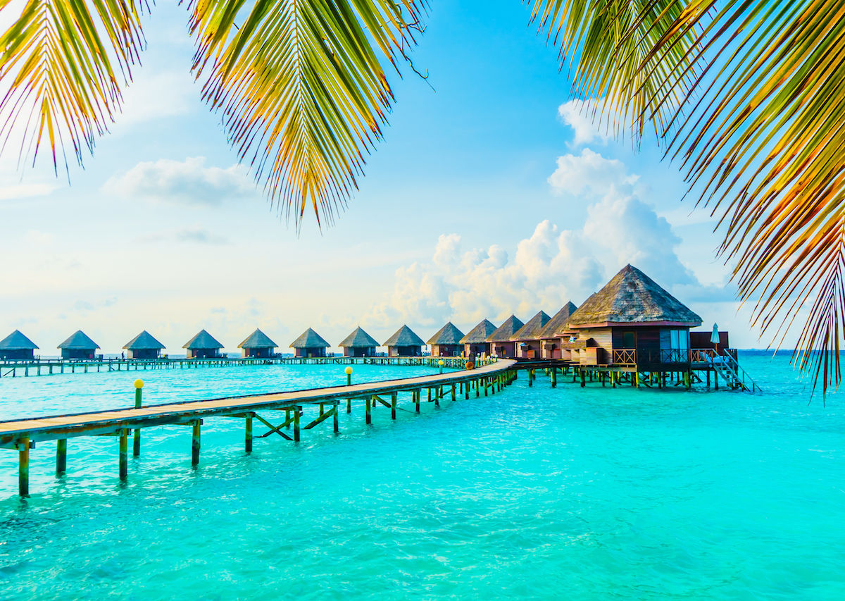 maldives tourism tender