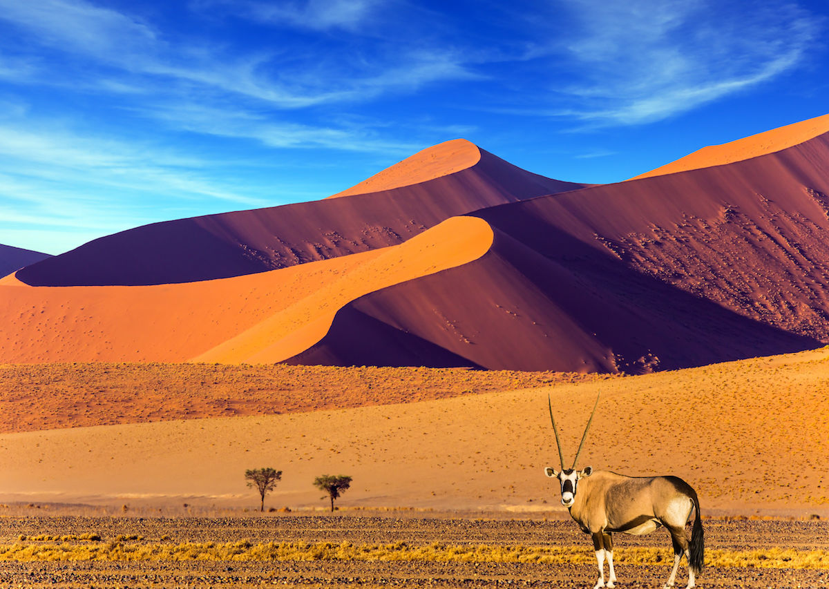 namibia travel information