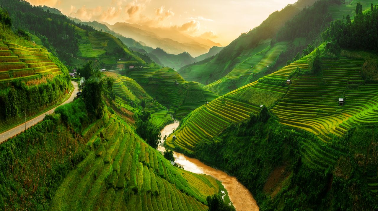 rice terraces in Vietnam