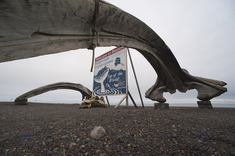 Notes on a starless summer in Barrow, Alaska - Matador Network