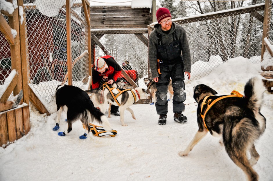 Dogsledding in Swedish Lapland [PICs] Matador Network