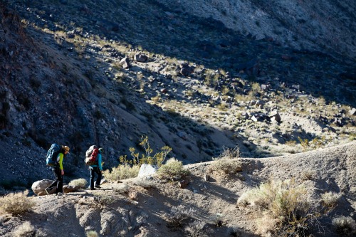 Off trail in Death Valley