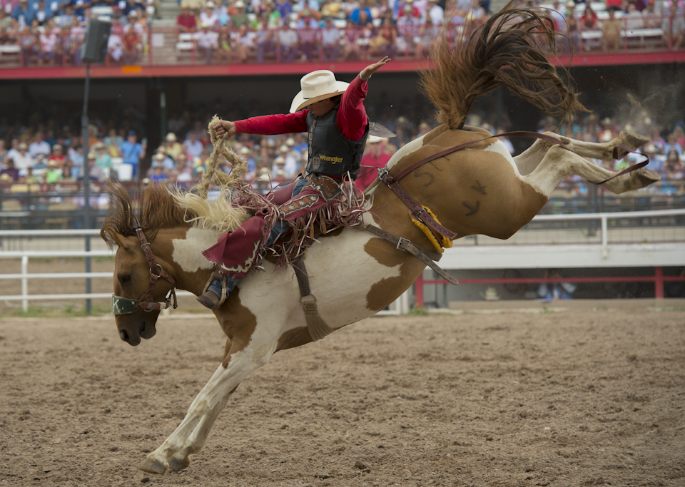 Photographing the world's largest outdoor rodeo - Matador Network