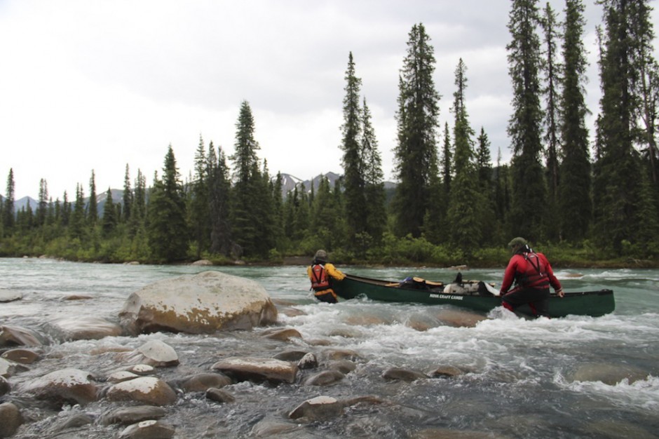 Ten 1 Live Streaming