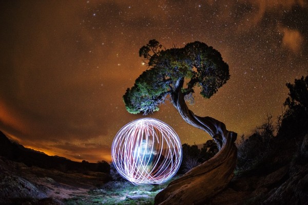 A figure standing beside a gnarled tree spins a light to create a glowing sphere