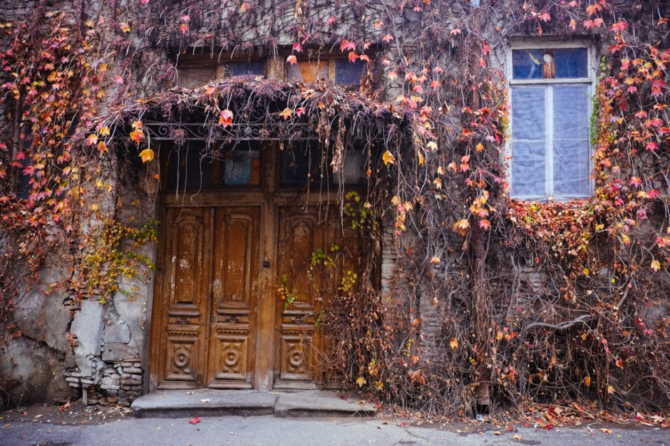Doorway with vines