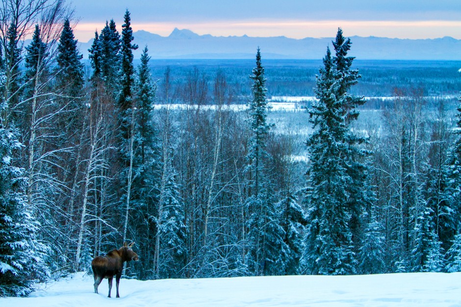 Hunting the Northern Lights in Fairbanks, Alaska - Matador Network