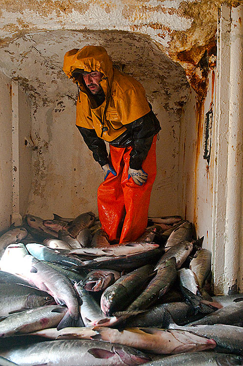 Commerical fishing jobs in alaska