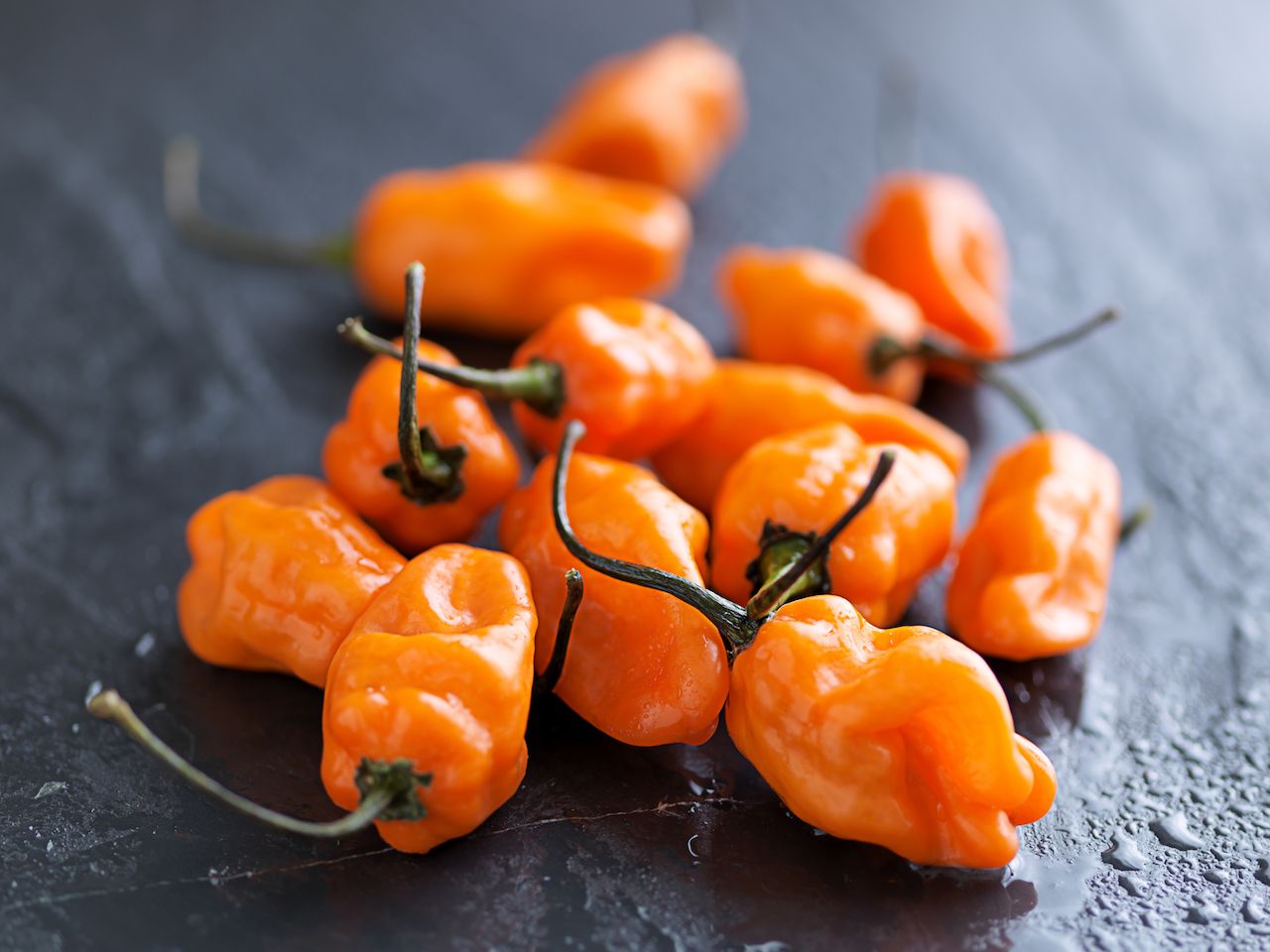 Orange habanero peppers