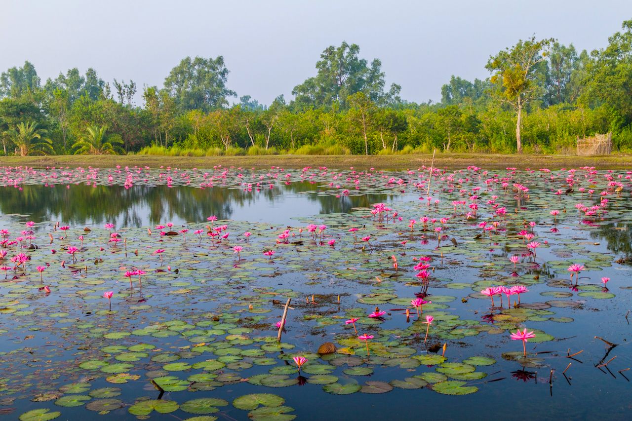 Natural Wonders of Bangladesh  