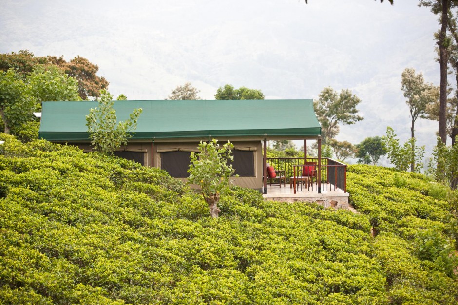 Madulkelle Tea and Eco Lodge (Kandy, Sri Lanka)