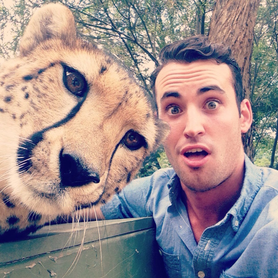 Cheetah-Selfie