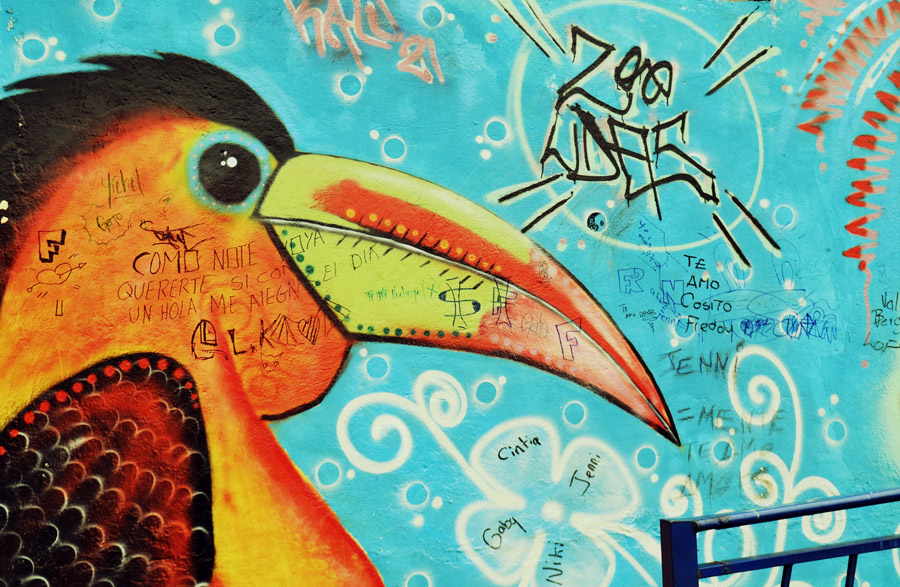 A visual journey through the street art of Cuenca, Ecuador