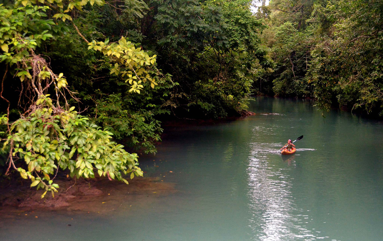 Kayaking near Drake Bay, on the Osa Peninsula. Photo: Costa Rica Tourism Board