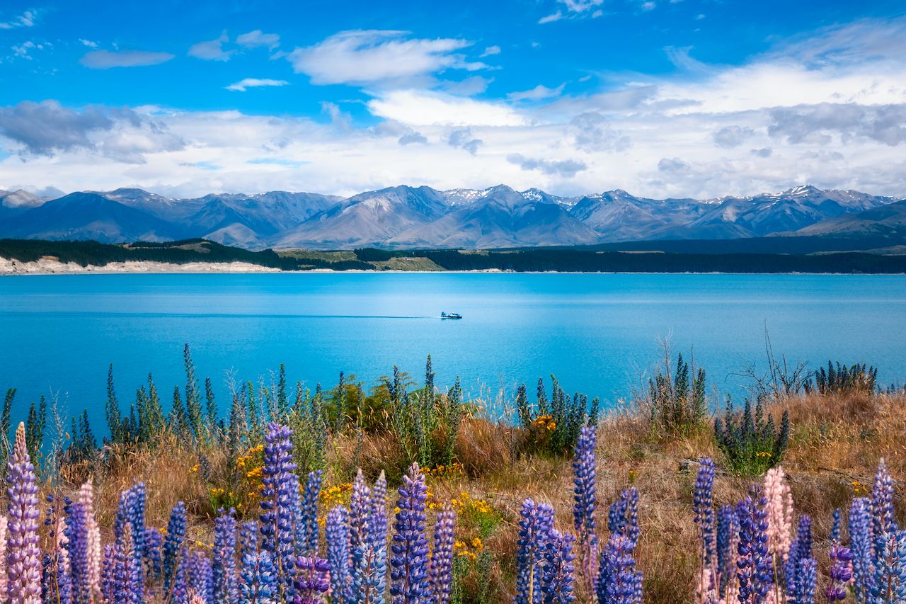 14 stunning landscapes you'll only find in New Zealand