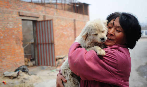 rescued-dogs-yulin-dog-meat-festival-china-5