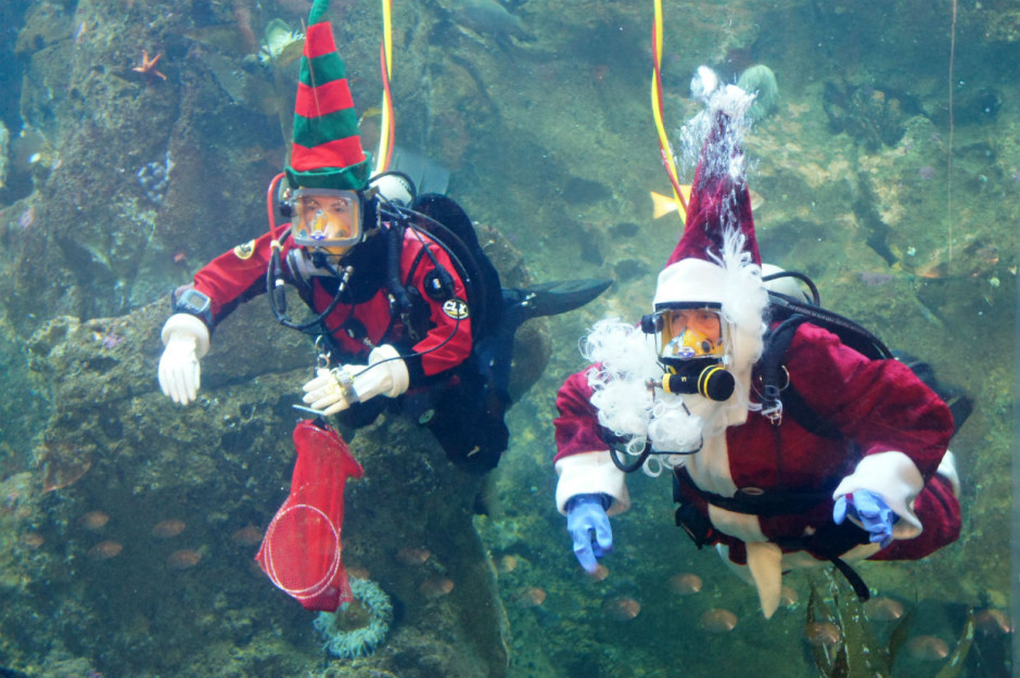 9 holiday experiences in Seattle you shouldn't miss