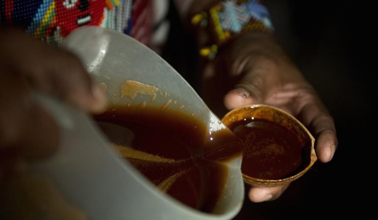 For me, ayahuasca was as good as therapy. Here’s what the science says