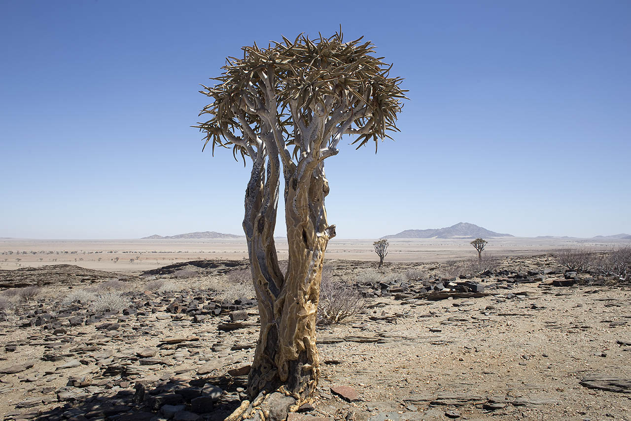 Amazing pictures of the disappearing tribe of Av Amazing pictures of the disappearing tribe of Av