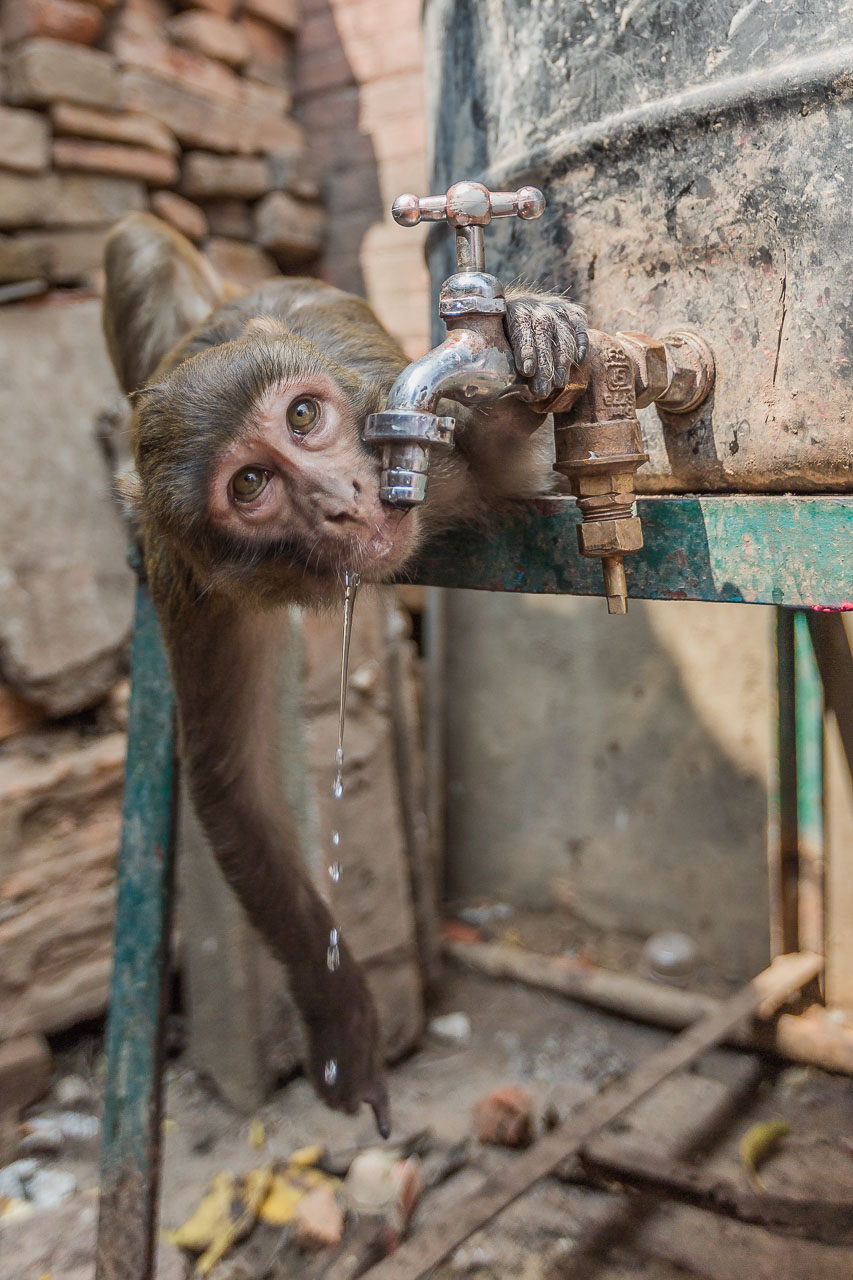30 photos from Nepal we can't stop looking at Matador Network