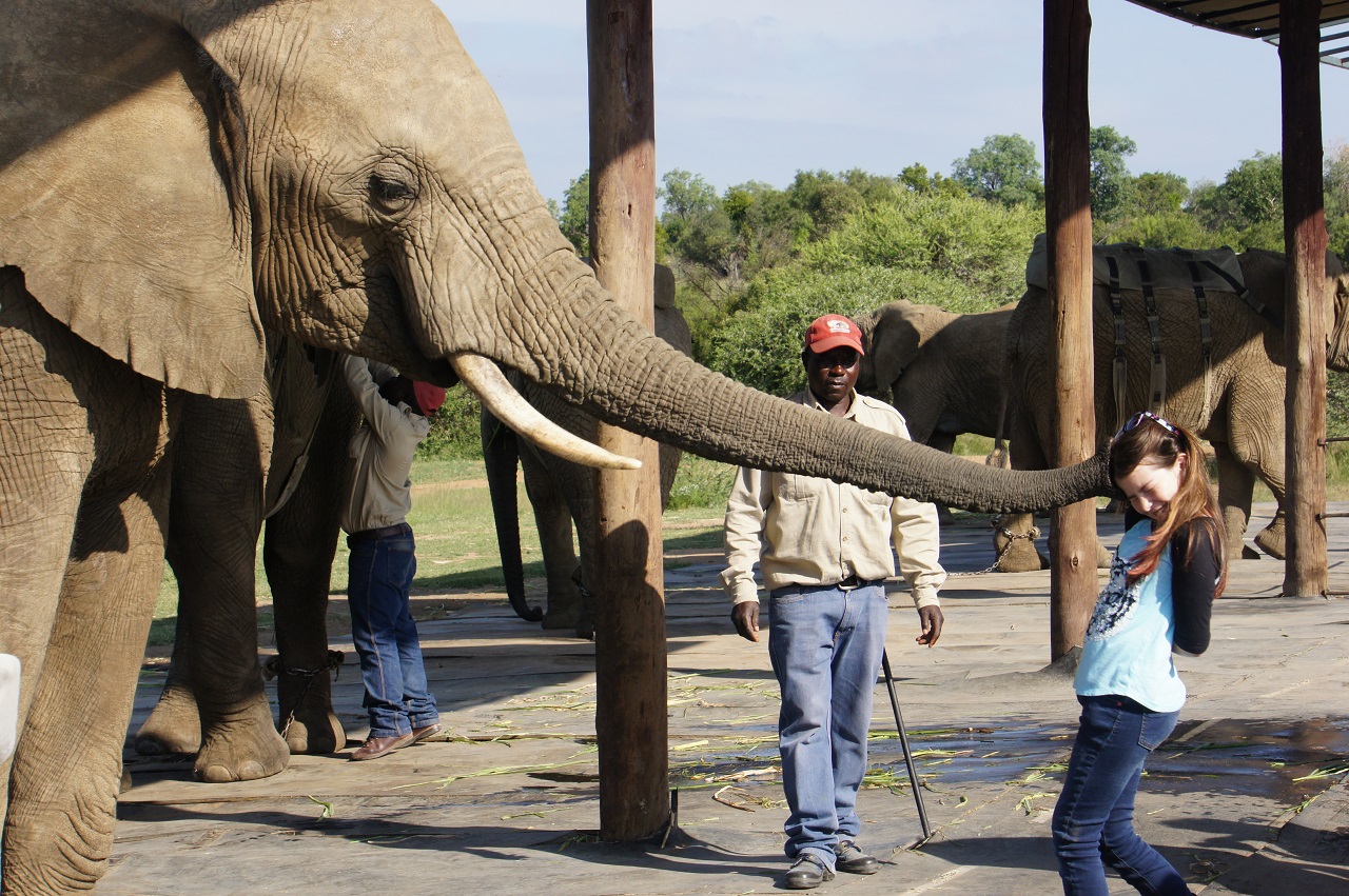 Kid with elephant