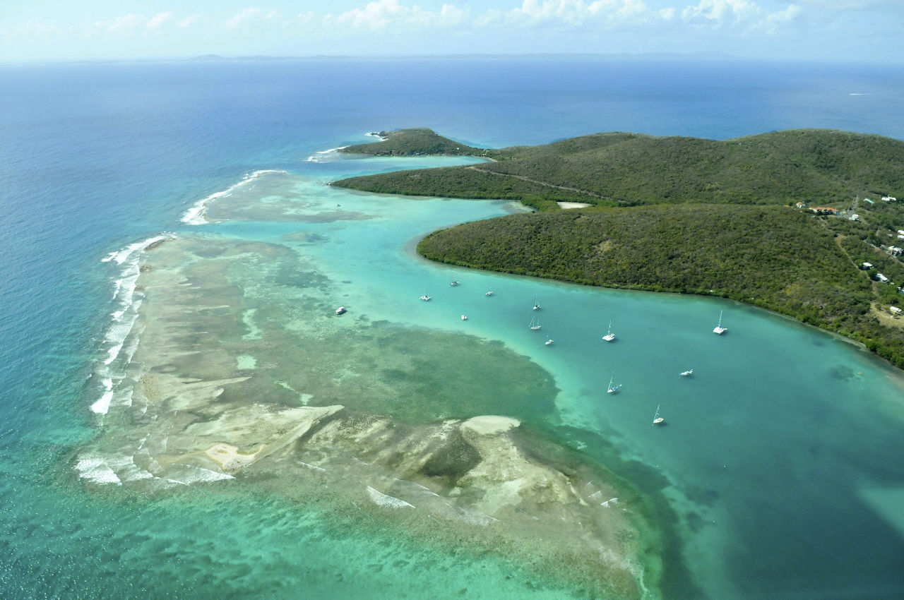 Isla de Mona  Discover Puerto Rico