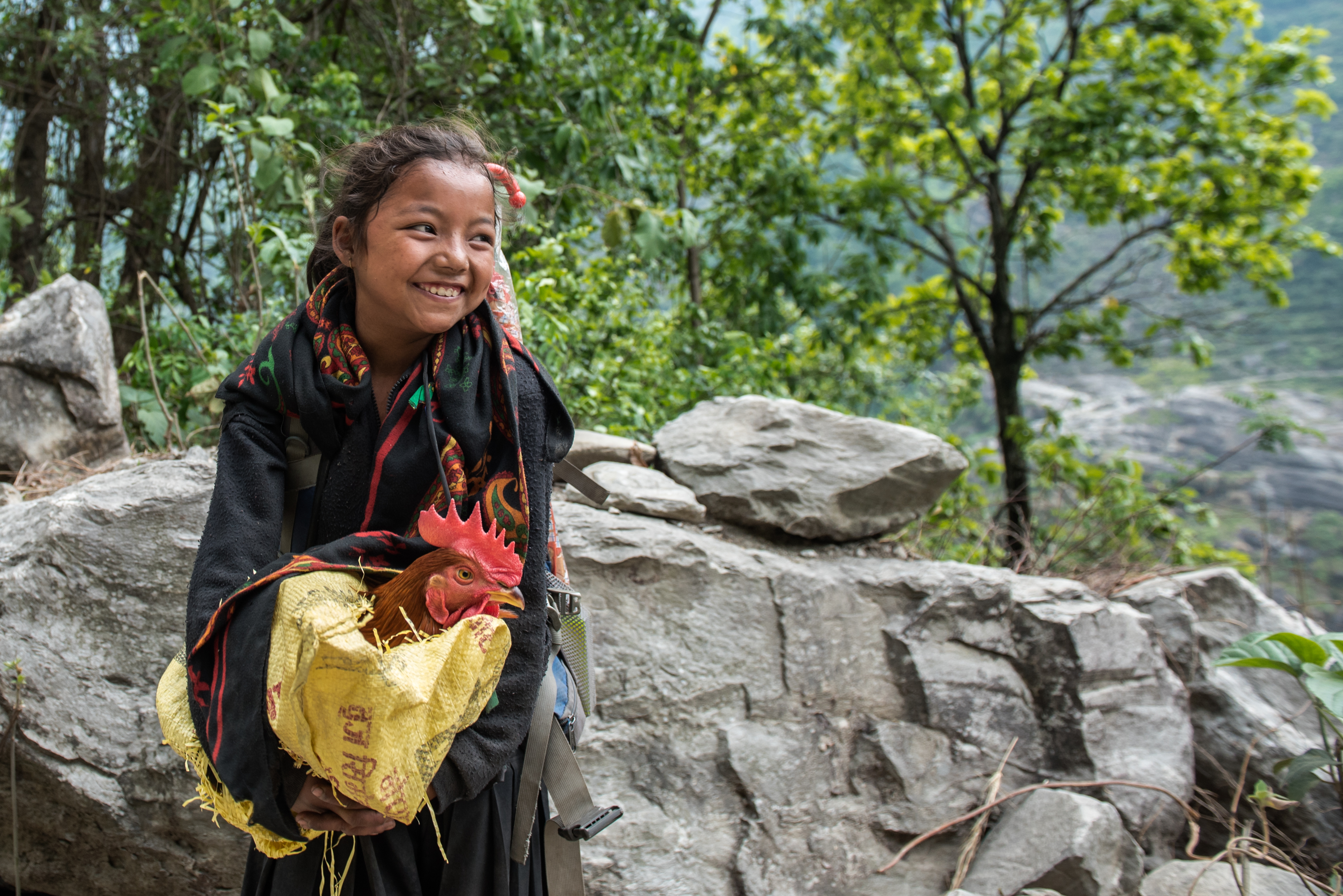 A young girl laughs as she carries her rooster up the trail - Gorkha Region.