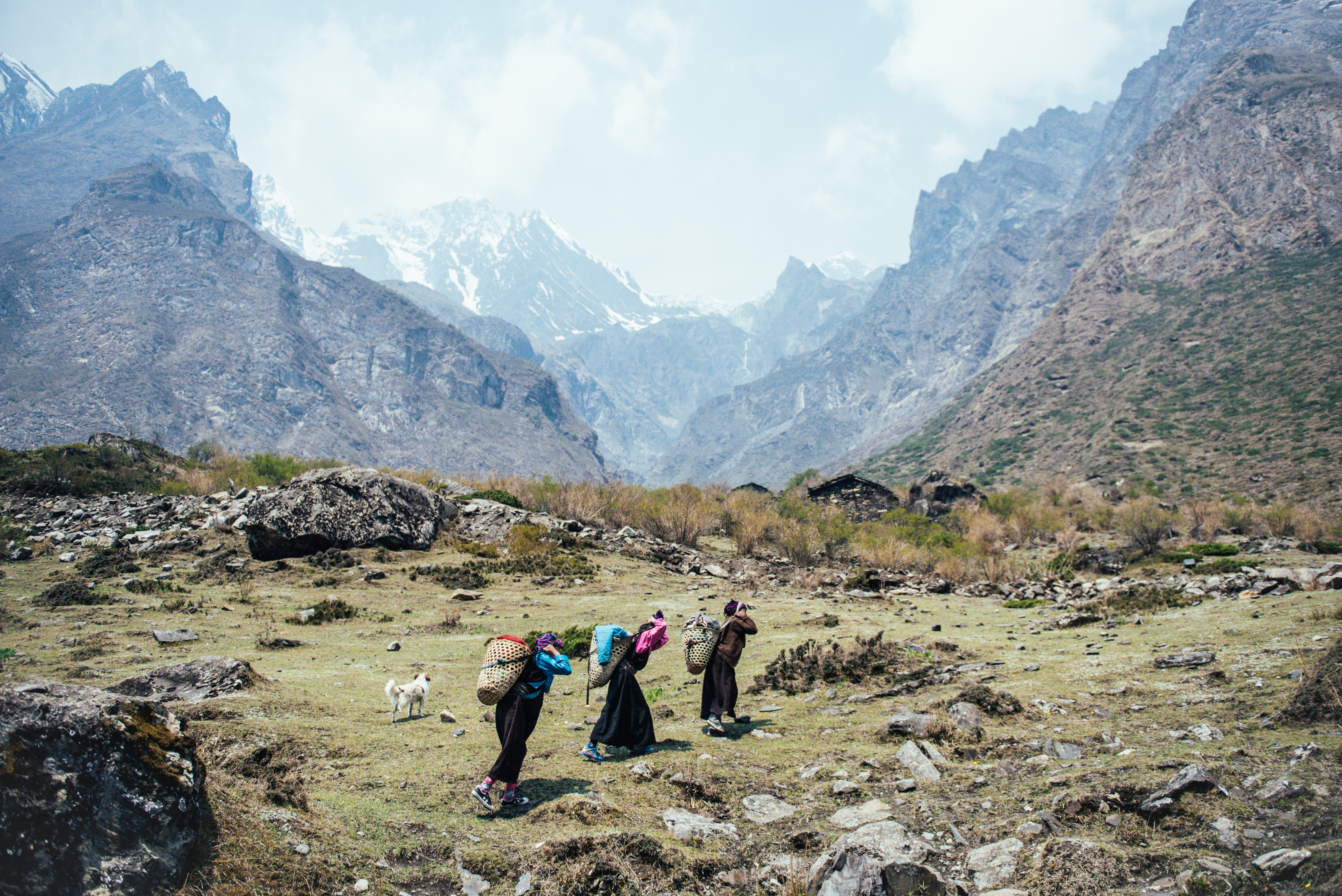 Mother, daughters and their three-legged dog head to the Yarsagumba harvest - Tsum Valley.