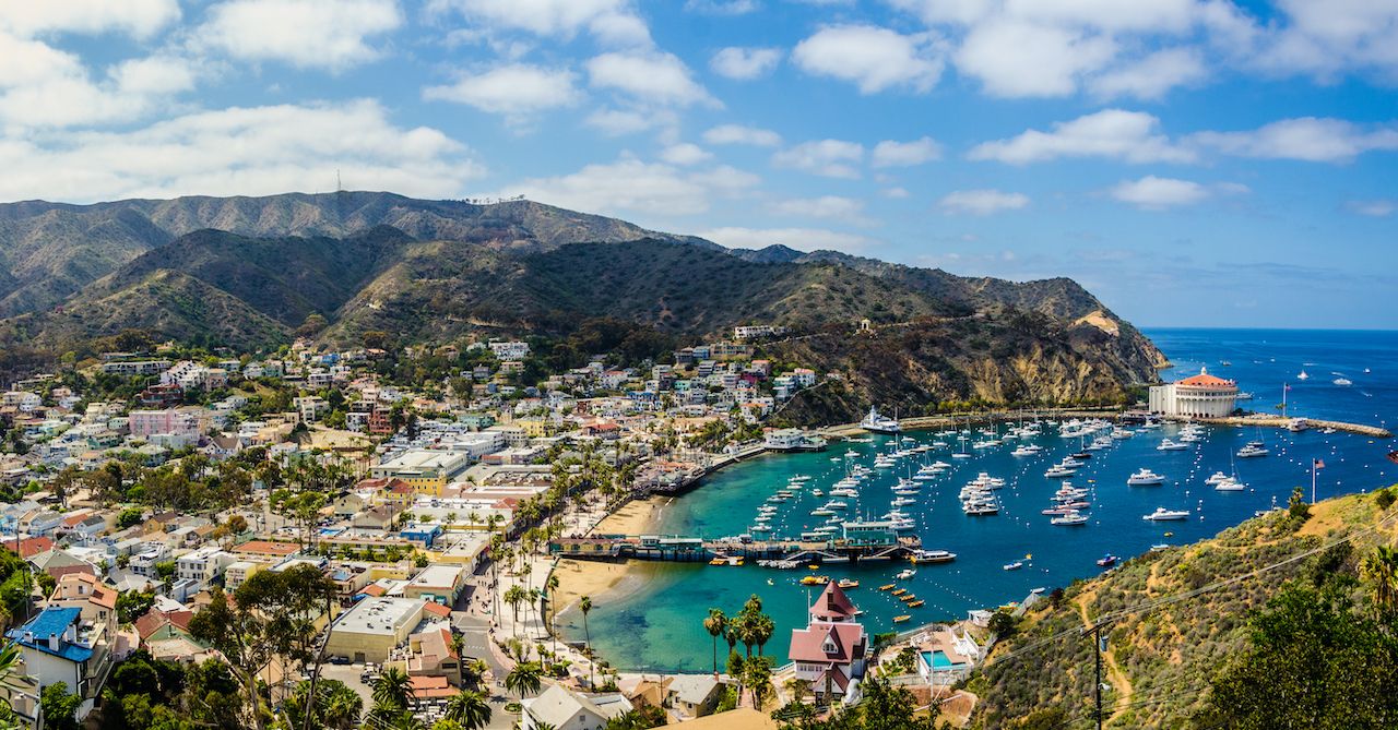 12 facts about Catalina Island that will surprise you