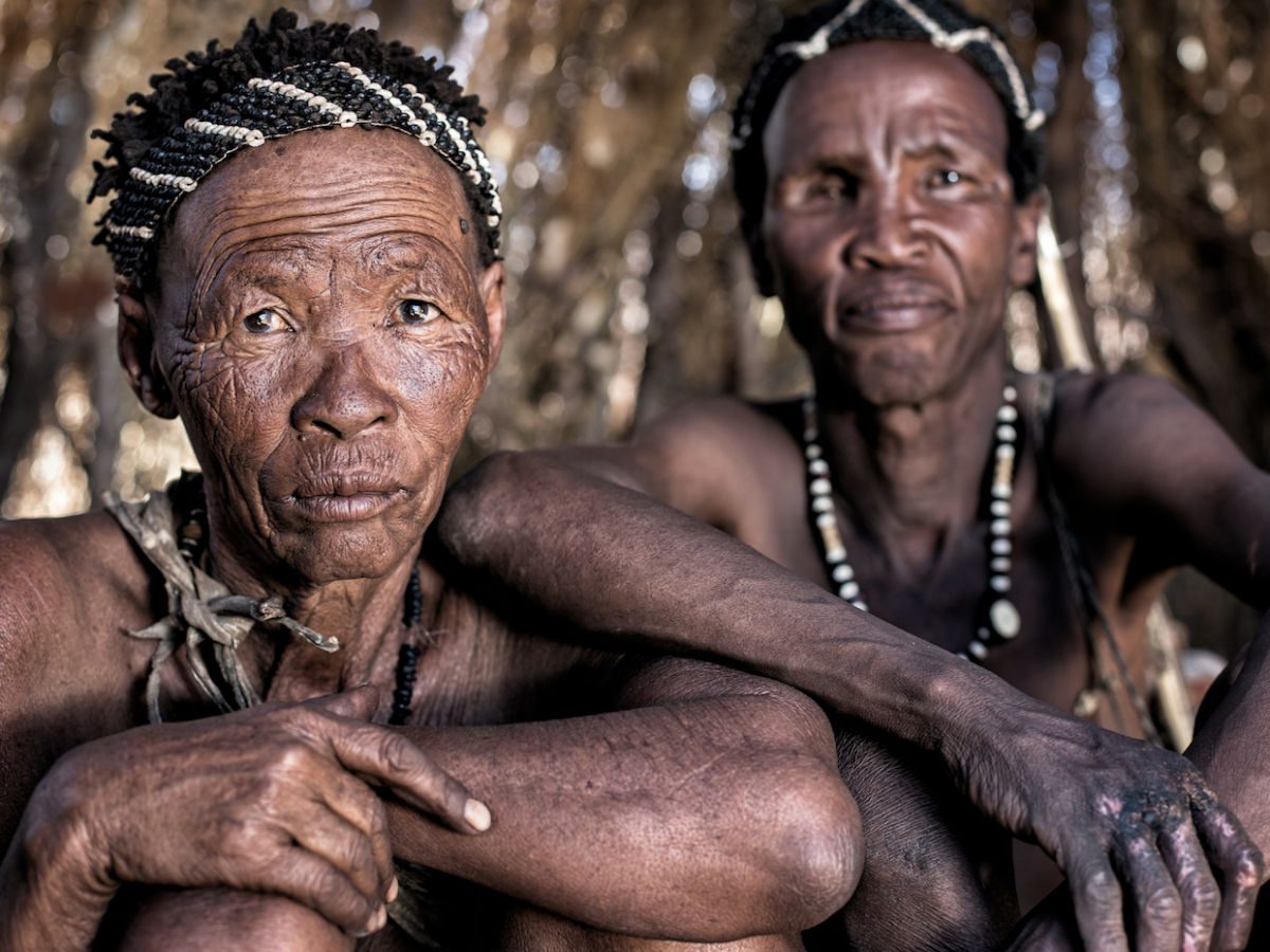 What Is The Largest Tribe In South Africa