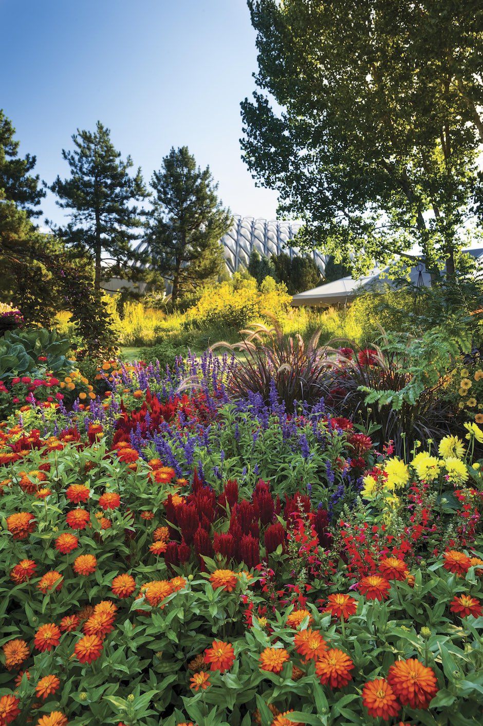 Denver Lush Garden