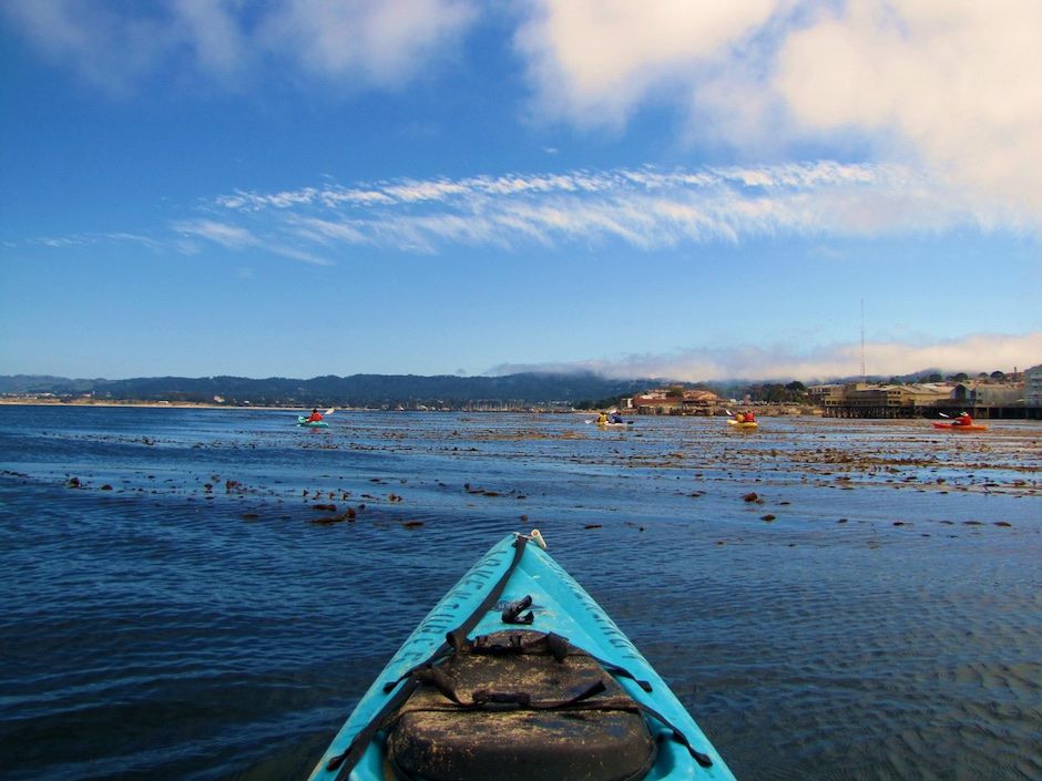 Monterey Kayaking with Adventures by the Sea