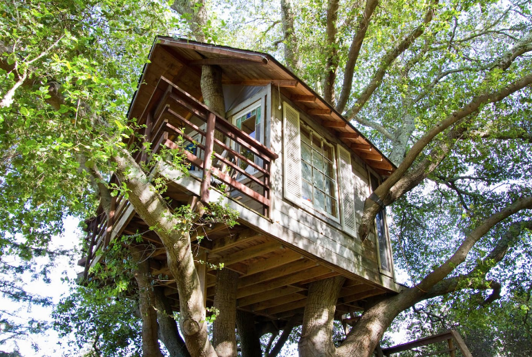 Treehouse Airbnb