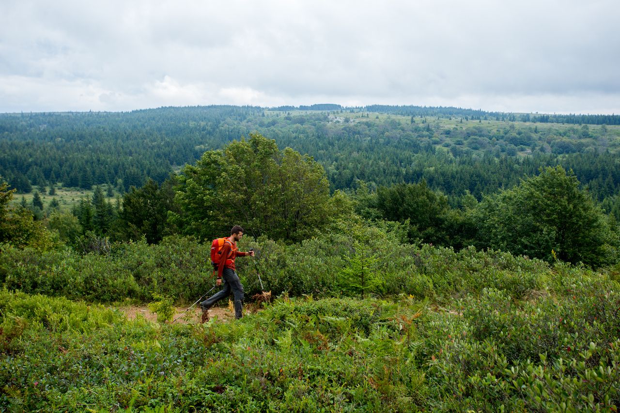 What do to this summer in the Appalachian Moutains