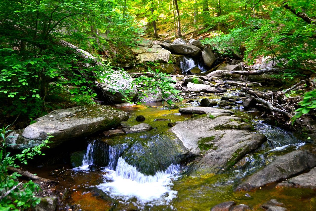 Top 10 State Parks in New Jersey