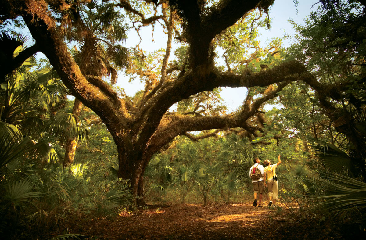 Beyond the beach: 6 pristine natural areas in Southwest Florida