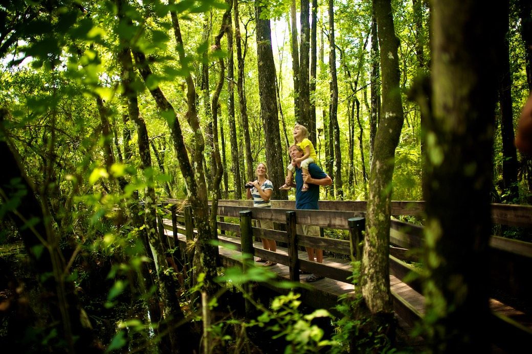 Six Mile Cypress Preserve Florida