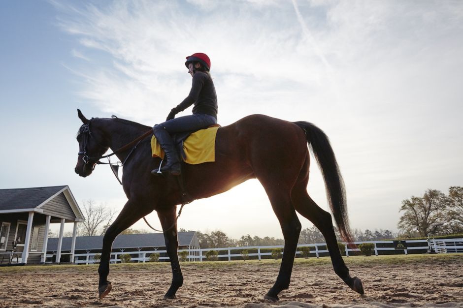 South Carolina travel experiences you have to have on your trip