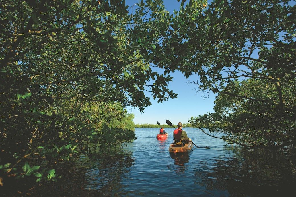 Kayaking Fort Myers Sanibel mangroves