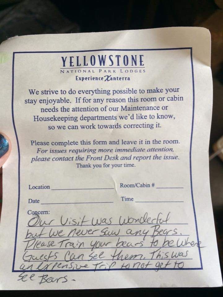 Tourists at Yellowstone National Park file complains over not seeing bears