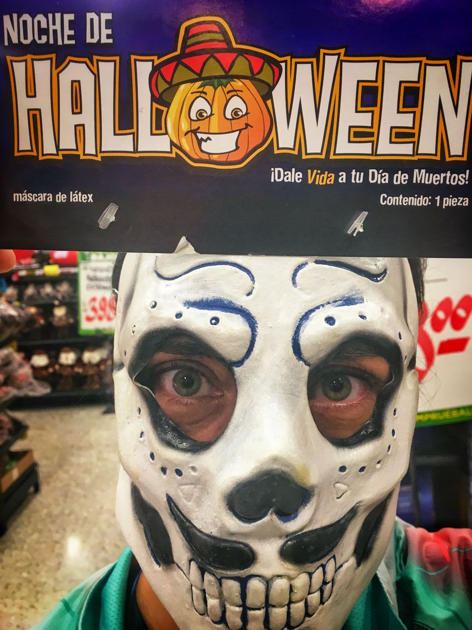 Halloween Day of the Dead mask