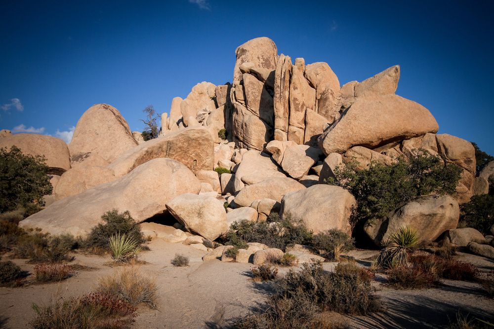 planning a trip to Joshua Tree National Park