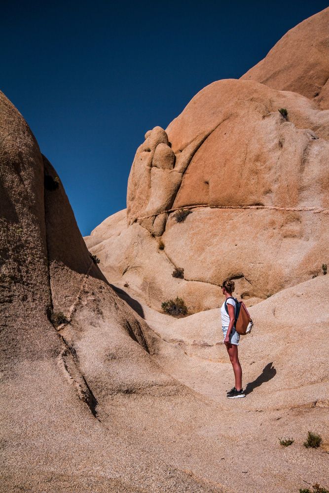 planning a trip to Joshua Tree National Park