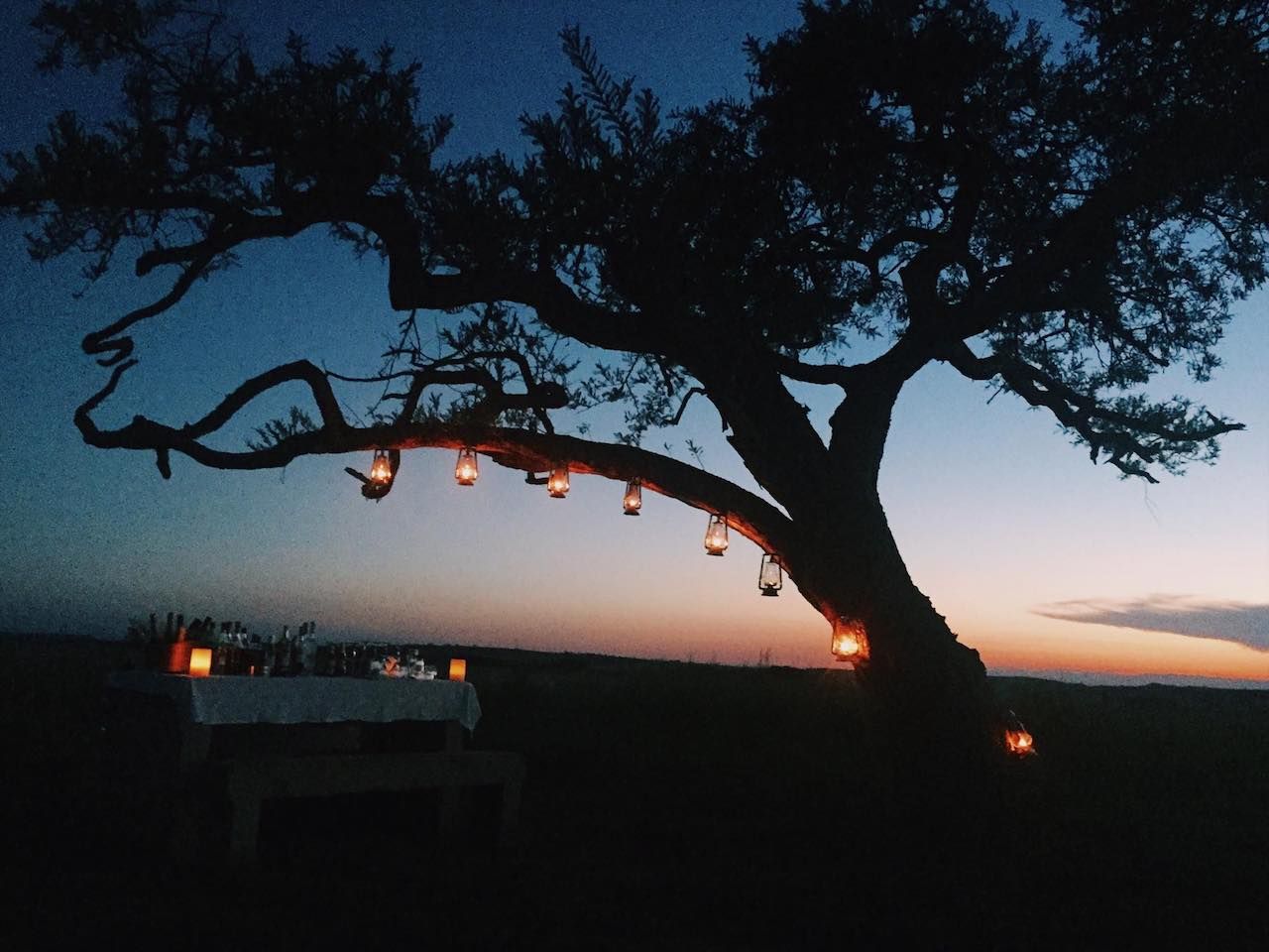 Cocktails in the African bush