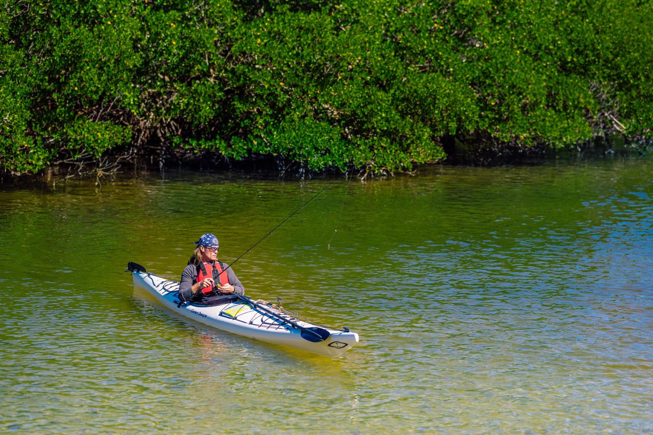 Fishing the mangroves