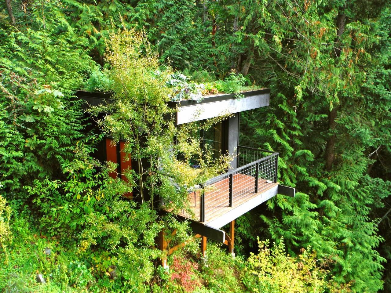 Treehouse on airbnb