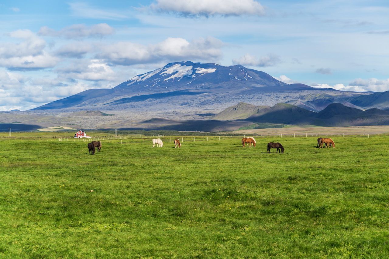 Hekla volcano