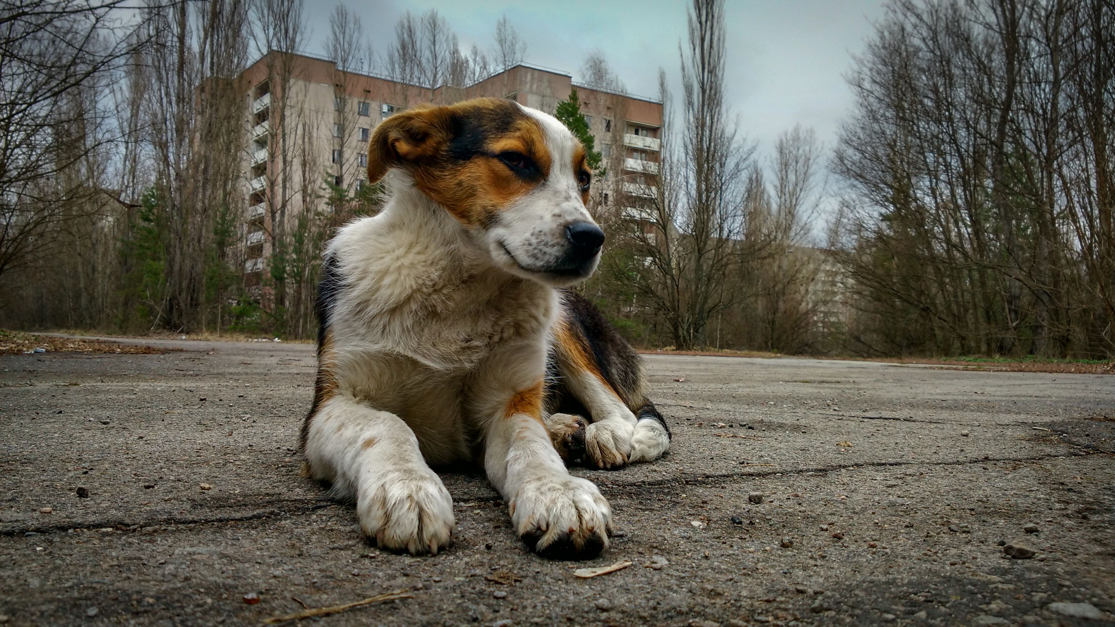 q-a-radiation-expert-discusses-potential-fallout-of-chernobyl