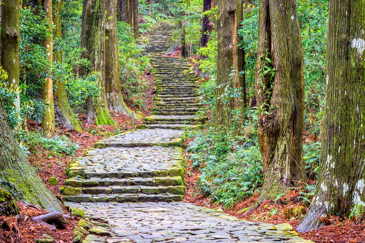 Kumano kodo trail hikes in japan